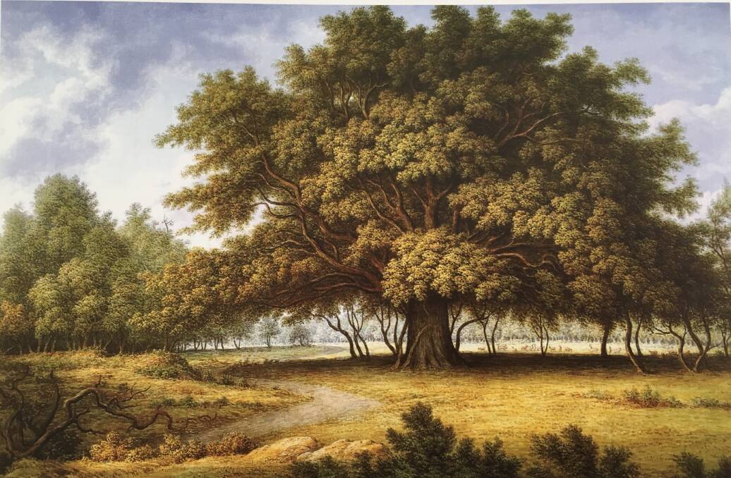 LANDSCAPE: John Glover, Swilker Oak, c 1840, oil on canvas from the National Trust Tasmania Clarendon Collection.