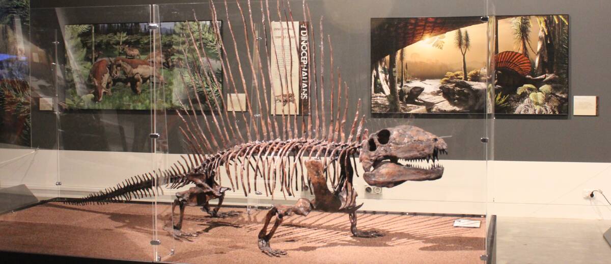The fossils have been reproduced by Gondwana Studios.