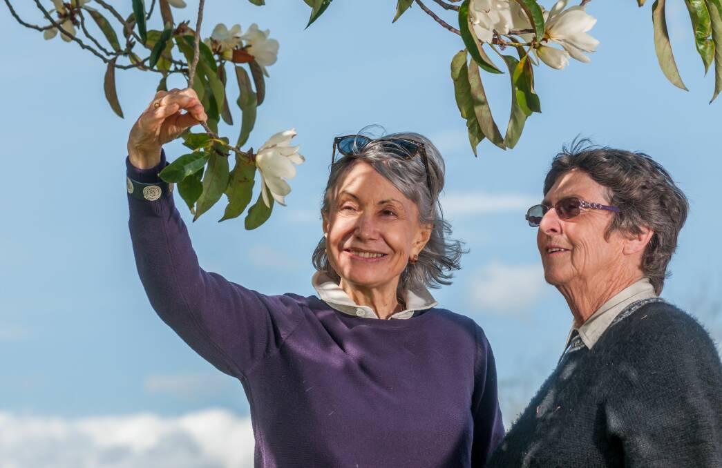TALENT IN LAUNCESTON: Ikebana master Susie Solomon admires magnolias with Blooming Tasmania committee chair Jane Teniswood, outside The Studio at Inveresk where she will hold her workshop. Picture: Phillip Biggs 