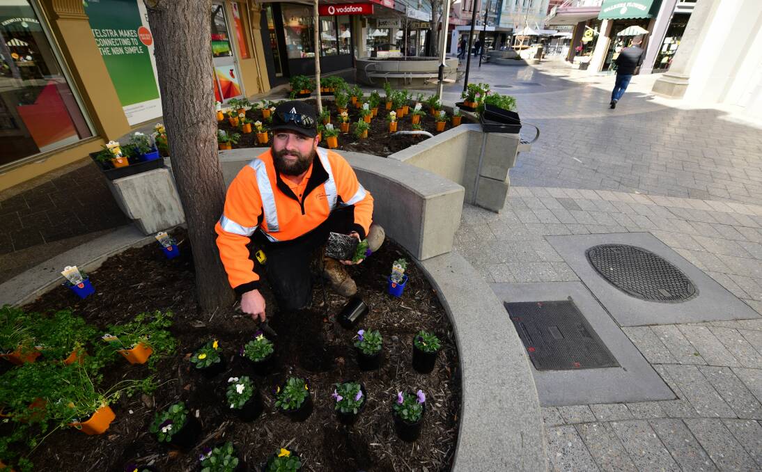 FINAL TOUCHES: City of Launceston gardener Matt Jordan plants greenery in the Quadrant Mall ahead of the official reopening on Friday. The free event will be held between 5.30pm and 8.30pm. Picture: Paul Scambler