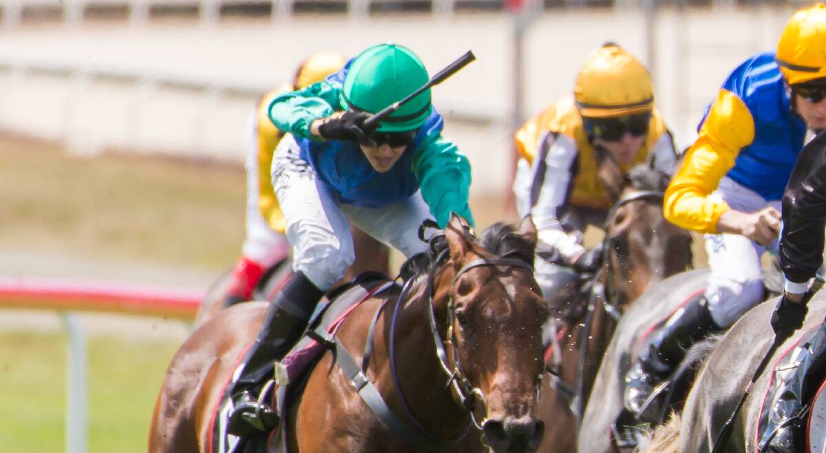 IN ACTION: Clark riding Aljazmic on Launceston Cup Day. The 23-year-old is apprenticed to Spreyton-based Tasmanian Racing Hall of Fame trainer Barry Campbell.
