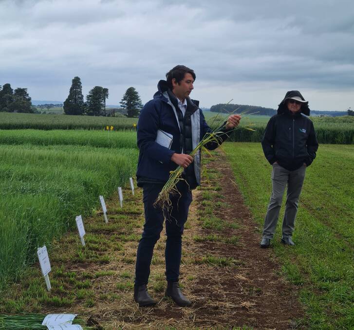 HIGH YIELD: FAR Australia research manager Darcy Warren discusses the trial crop varieties at the annual HYC Field Day in November last year. Photo: Supplied