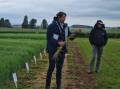 HIGH YIELD: FAR Australia research manager Darcy Warren discusses the trial crop varieties at the annual HYC Field Day in November last year. Photo: Supplied