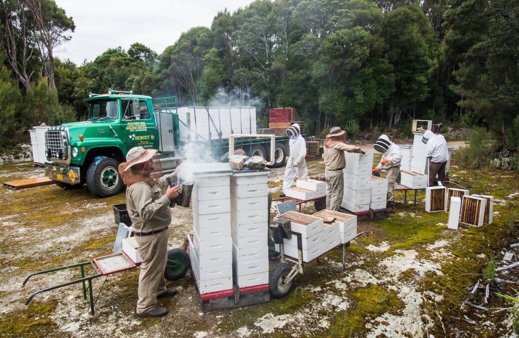 The Stephens family are proud to continue a sweet tradition, having shared their passion for beekeeping with the world for more than 100 years. Click on the image to visit Tasmanian Farmer on Facebook. Picture supplied