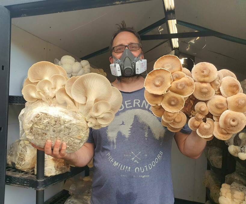 FRUITFUL FARMING: Urban farmer Tim Murch has grown West Tamar Fungi from a hobby to a flourishing enterprise with plans in place to create his own, new varieties for market. PHOTO: Supplied