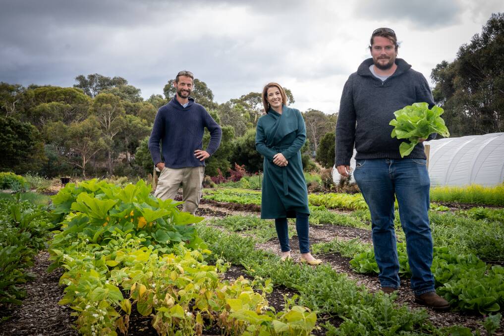 SEED FREAKS: Garden manager Maurice 'Momo' Henault and new Seed Freaks owners Kate Tier and Florian Bonenfant check out their leaf varieties at Wobblestone Regenerative Farm near Hobart. PHOTOS: Supplied