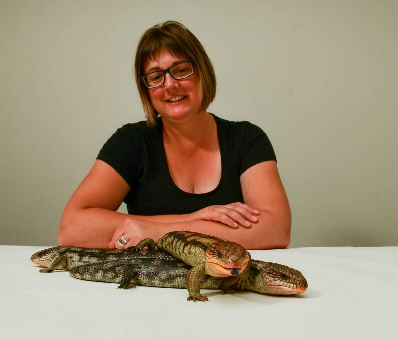 TONGUE IN CHEEK: Liv Johnston with the family blue tongues, Strawberry, Norbert and Bob. 
Pictures: Scott Gelston
