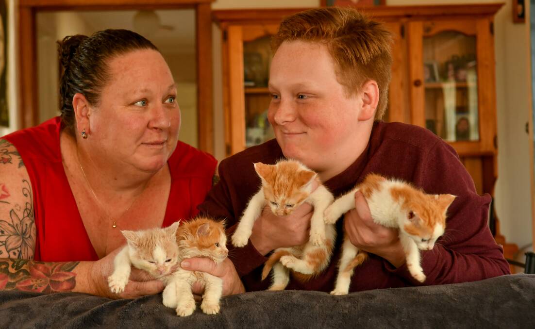 Cressy's Katie and Jade Hicks, 12, with four six-week-old kittens the family is foster caring. Picture: Scott Gelston