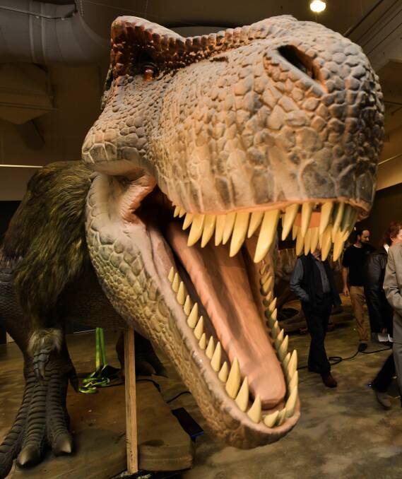 NICE SMILE: Queen Victoria Museum's dinosaurs will get lots of love on Saturday with a dinosaur-themed family fun day. Picture: Scott Gelston 
