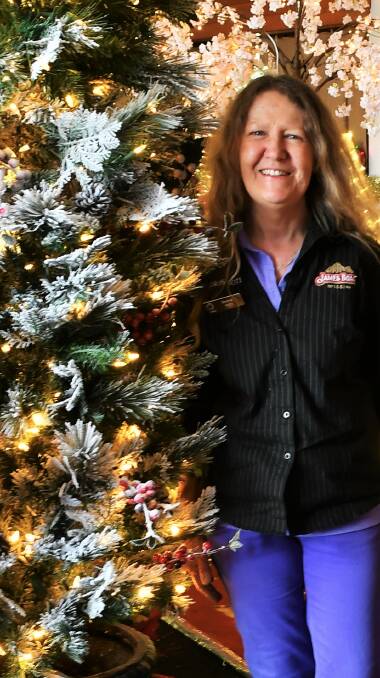 CHRISTMAS ANGEL: Donna de Nooyer wants to bring festive cheer to the Scottsdale community. Picture: Frances Vinall 