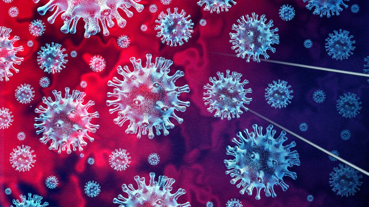 Four new coronavirus cases, taking Tasmanian total to 218