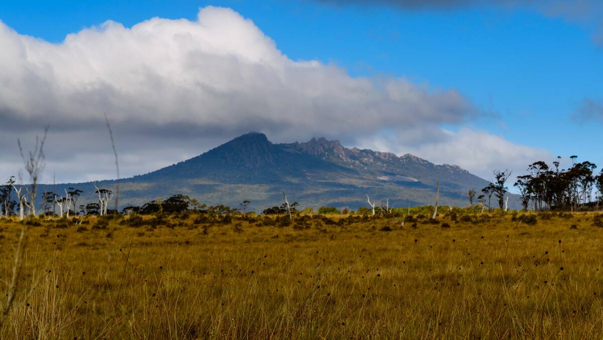 Mount Victoria as viewed from buttongrass plains. Picture: Scott Gelston 