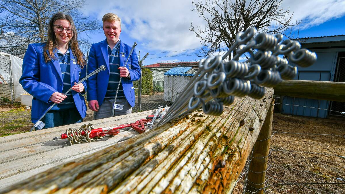INNOVATIVE STUDENTS: Aimee Viney and Jayden Lee are making the most of their time at Deloraine High School learning about business, agriculture and marketing as Jayden's fencing invention Fast Way Fencing Tie Offs takes flight. Picture: Scott Gelston.