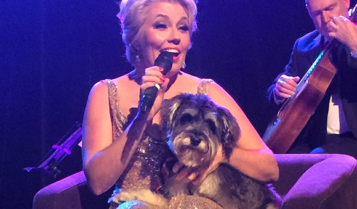 PAWDITION CALL-OUT: Melinda Schneider is looking for a Launceston dog to join her on-stage in 'A Farewell to Doris'. Picture: Supplied 