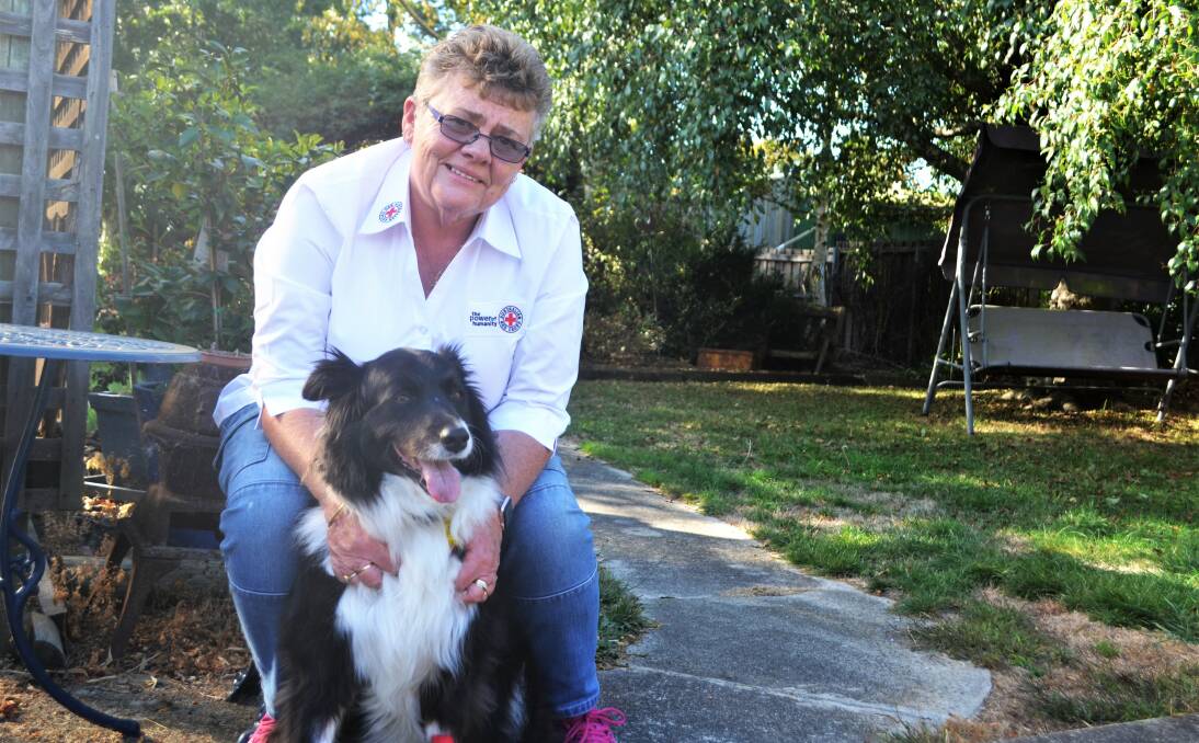FIFTY YEARS OF HELPING: Kim Brundle-Lawrence with Tully. Picture: Frances Vinall