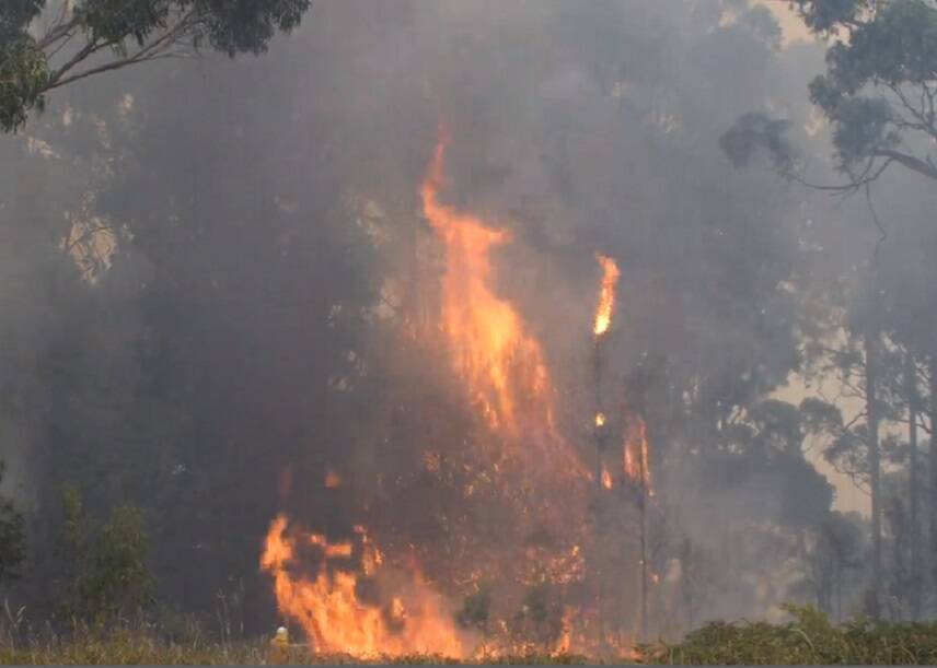 A firefighter (bottom left) battles a mammoth blaze. Picture: TFS