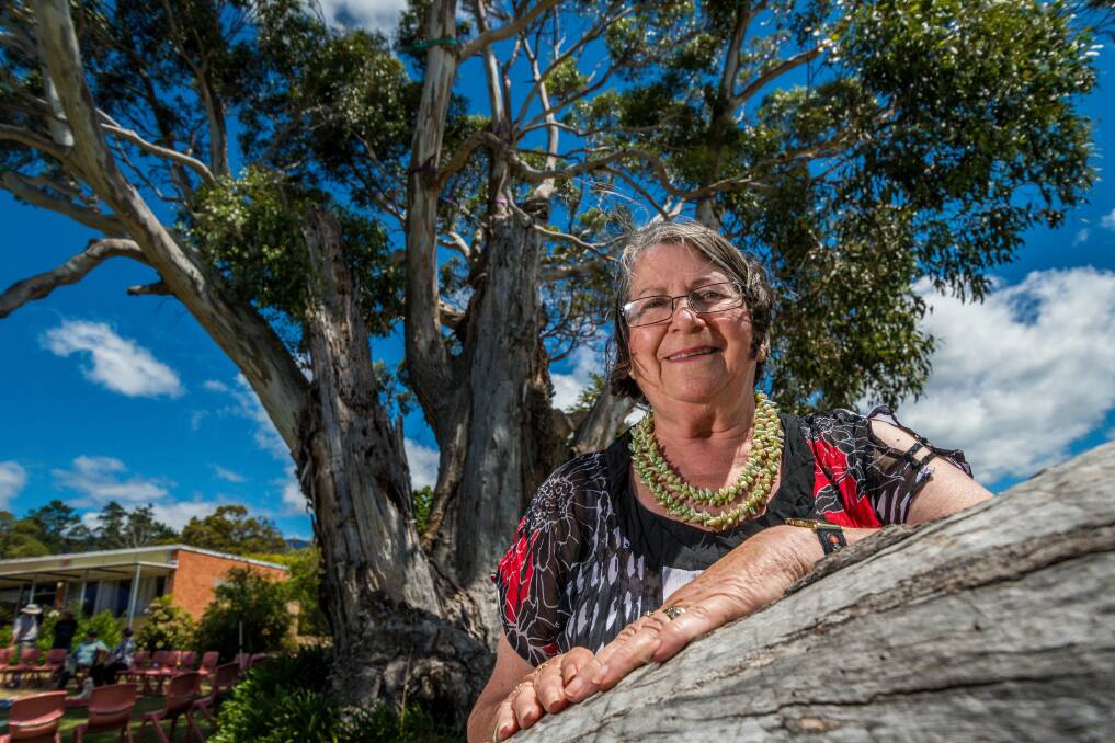 WISDOM: Aunty Patsy Cameron in front of a tree thought to be 300 years old. Picture: Phillip Biggs 
