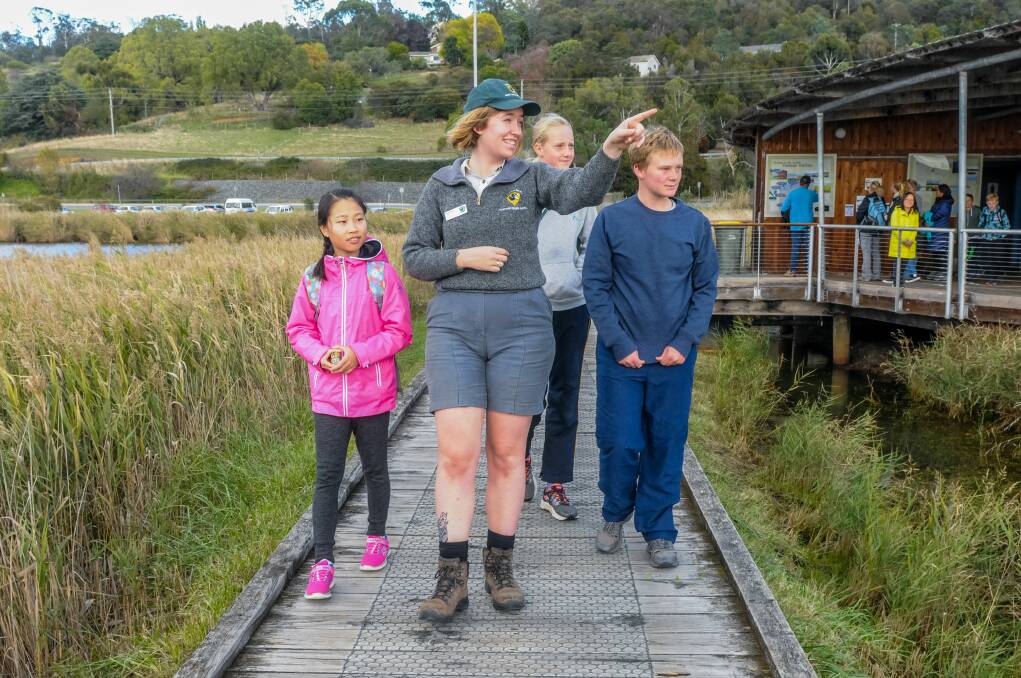 DISCOVERY: Rui Han from China, Wildlife Discovery Ranger Emma Dale, and Rebecca and Jonathan Clarke at the Tamar Island Wetlands Centre. Picture: Neil Richardson