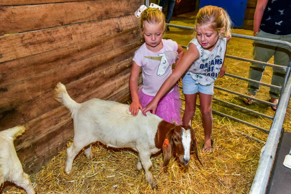 NEW FRIENDS: Lillie Pfeiffer and Aimee Pfeiffer at Goatfest. Picture: Neil Richardson 