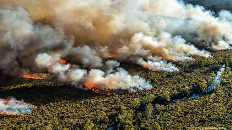 GONDWANAN: Climate change was a factor in Tasmania's horror January bushfires. Picture: File 