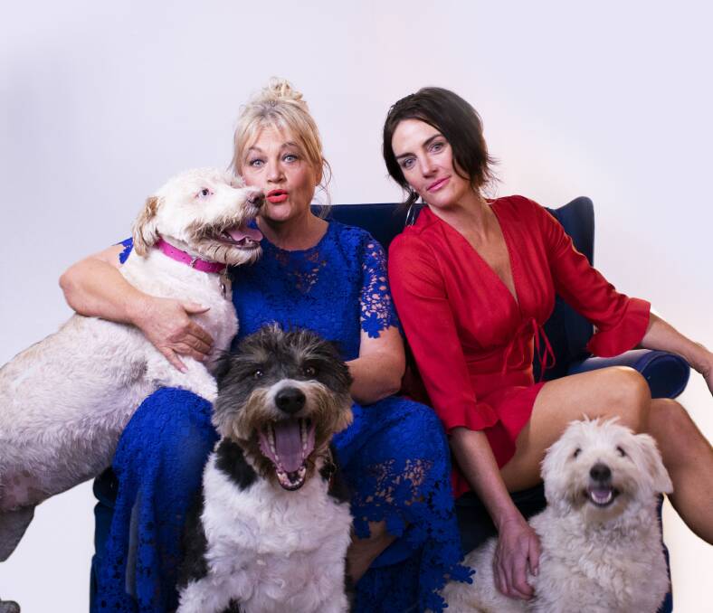 MAN V DOG: See Kerri Gay and Gabe Adkins at their comedy show at the Royal Oak on Saturday night. Picture: Supplied 