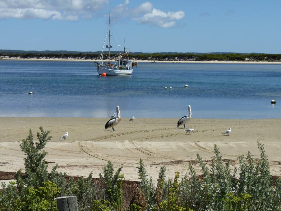 SANDY BEACH: A file photo of Musselroe Bay. Picture: Nine 