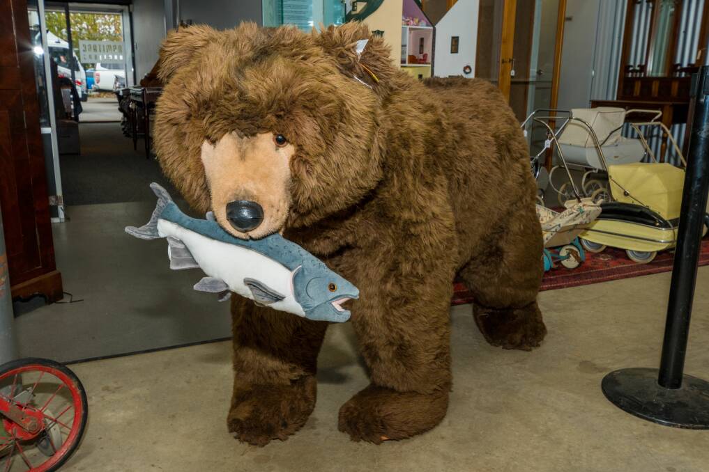 LIFE-SIZE: A Steiff grizzly bear is up for auction this weekend. Picture: Phillip Biggs 