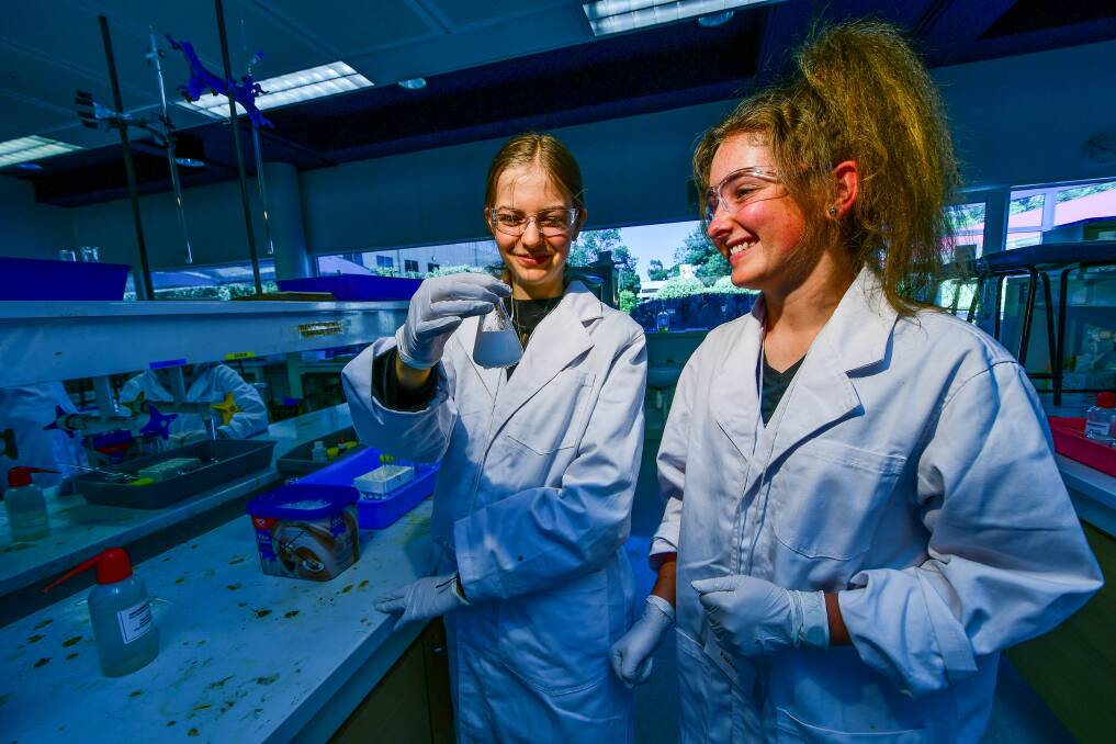 STEM FOCUS: Year nine students Freya Cooper and Asha Filleul make asprin as part of the University of Tasmania's Science Experience. Picture: Scott Gelston. 
