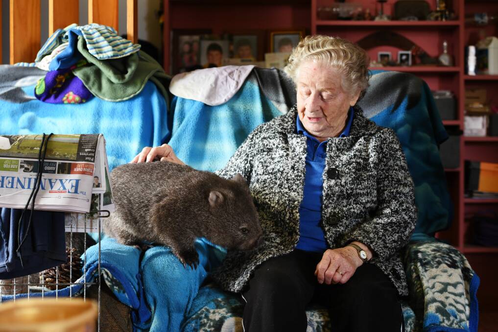 CARING: There is a fundraiser to support the work of wildlife carer Norma Baker in Bridport on Saturday. Picture: Scott Gelston 