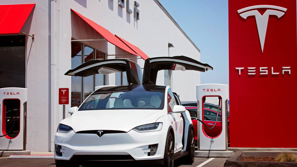 Tesla Inc chairwoman to speak at North-West Virtual Cafe