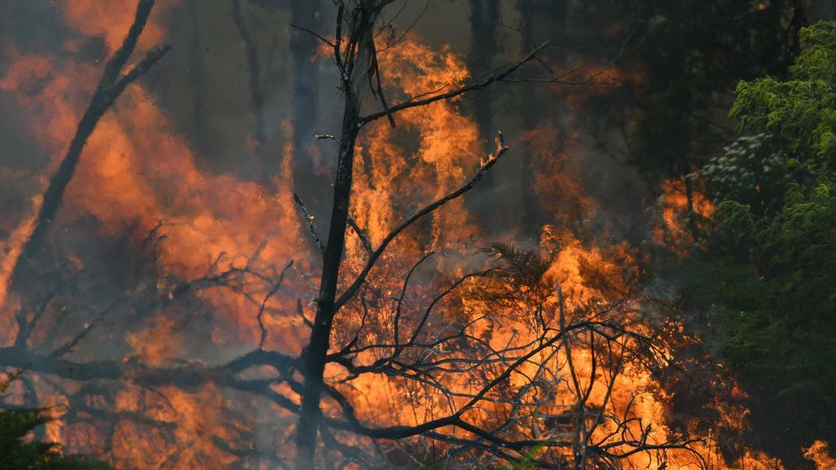Total Fire Ban declared for North, East Coast on Saturday