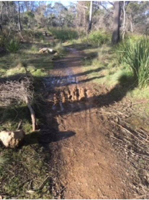 The trails have been damaged by riders using them after rainfall. Picture: Launceston Mountain Bike Club 