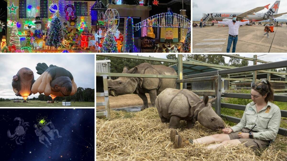 BEST OF THE WEEK: Homeowners going all out with Christmas lights (left top), families reunite after long months locked out (right top), a new birth in Dubbo's Christmas manger (right bottom), Skywhale family roadtrip begins (left above) and the 'Christmas comets' return to the night's sky (left bottom).