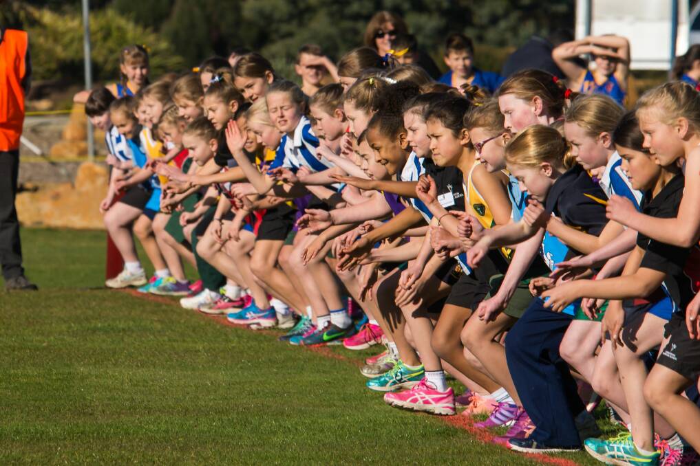 On the move: Grade 3 girls get ready to start the cross country event at the Northern Independent Junior School Sports Association carnival. Picture: Phillip Biggs.