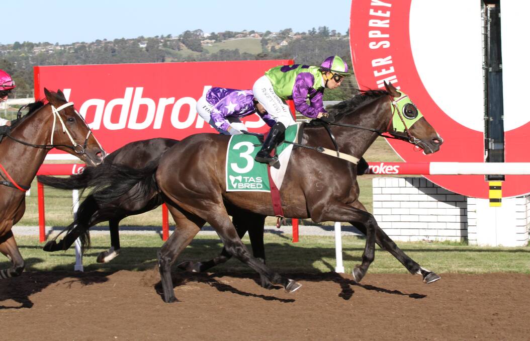 Tight finish: Gee Gee Fiorente hits the line to win Friday's Golden Mile at Spreyton. Picture: Brad Cole.