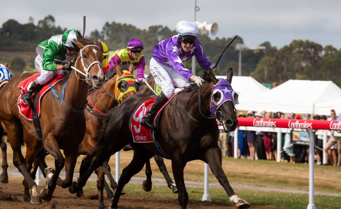Building: Newhart takes out the 2020 Devonport Cup and continues his preparation for the next year's race on Friday. Picture: Simon Sturzaker.