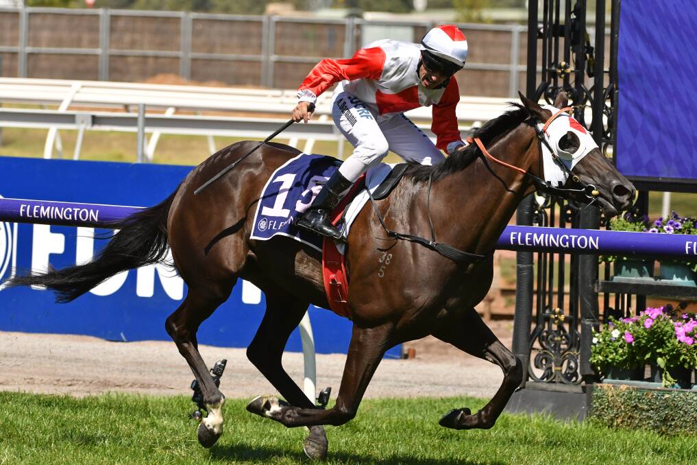 Heading out: After winning from the inside barrier in the Australian Guineas, Mystic Journey has drawn barrier 16 for Saturday's All-Star Mile. Picture: AAP/Quentin Lang.
