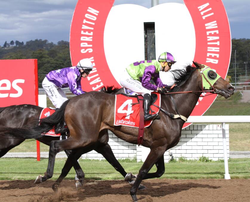 Another win: Gee Gee Fiorente, ridden by Randy Tan, takes the Sheffield Cup at Spreyton. Picture: Brad Cole.