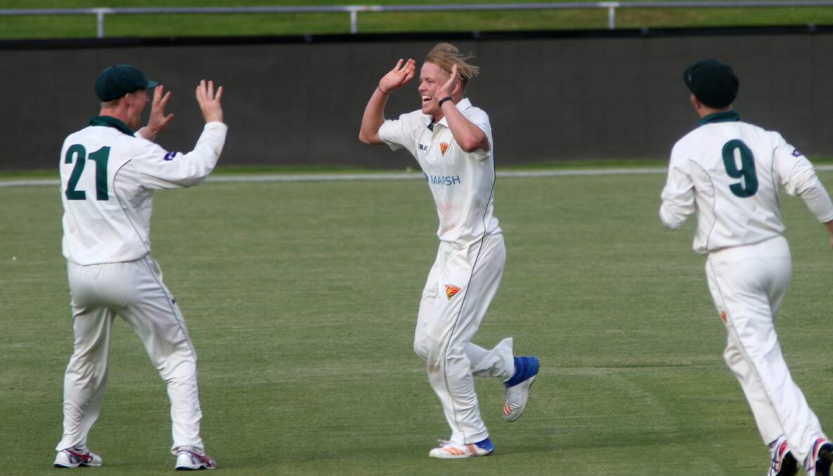 MORE ELLIS: Hardworking Tigers paceman Nathan Ellis celebrates a wicket in last season's Sheffield Shield. Picture: Rick Smith