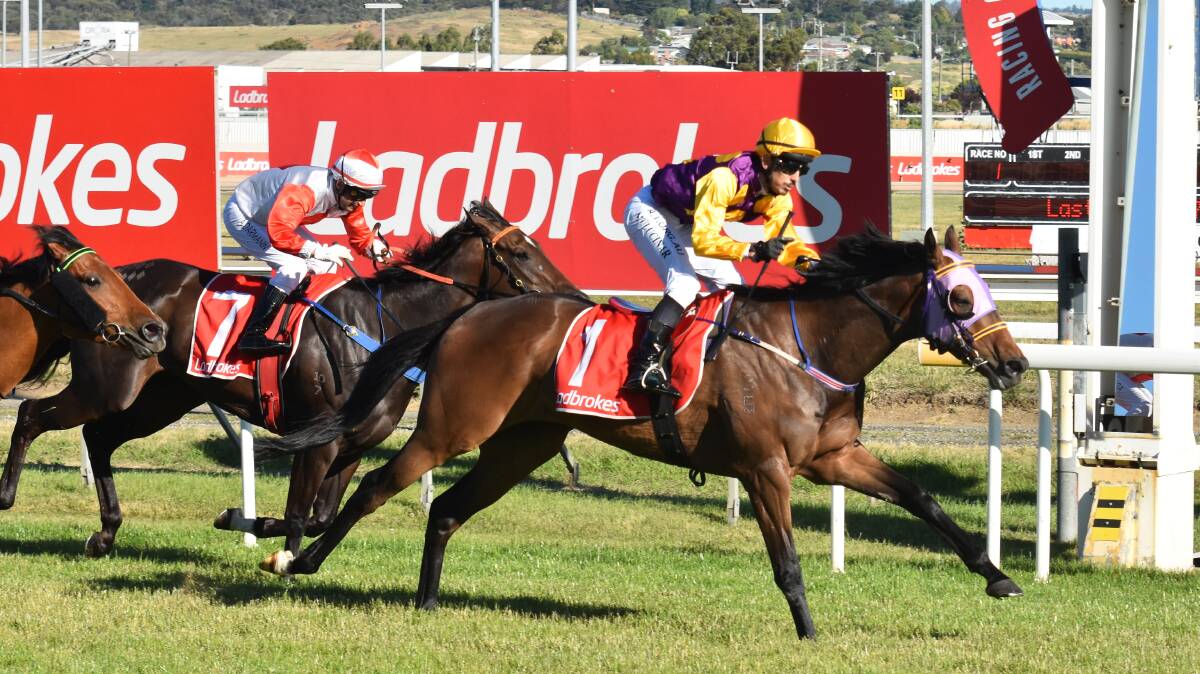 HOME AND HOSED: Mehmet Ulucinar takes Alfie All Talent to victory in Launceston. Picture: Supplied 
