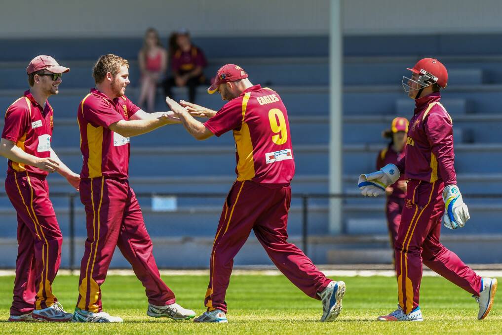 HIGH-FIVE: Mowbray bowler Jarrod Freeman celebrates the wicket of Sheffield's Robert French. Pictures: Phillip Biggs 