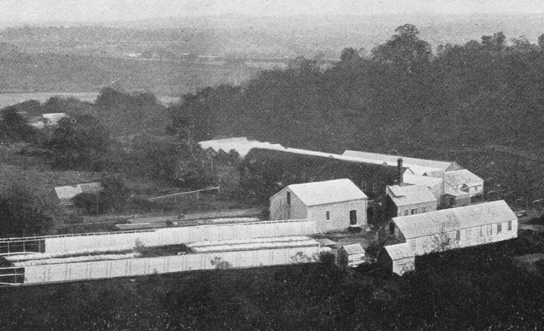 The Waverley factory buildings about 1901. Picture by the Weekly Courier, July 27, 1901.