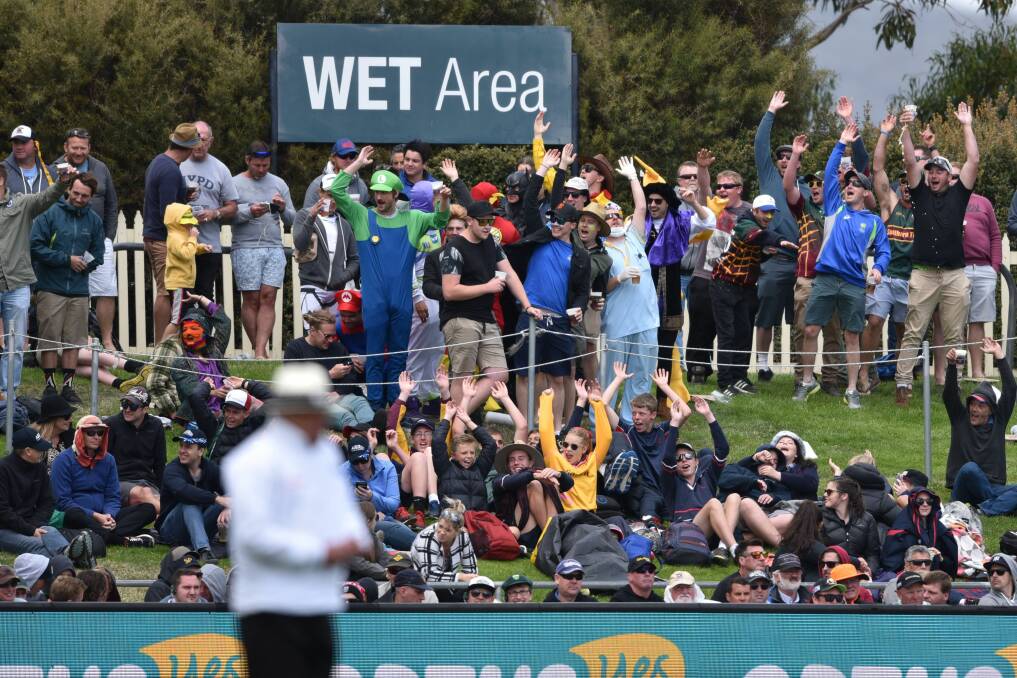 Cricket Tasmania defends past Test crowds