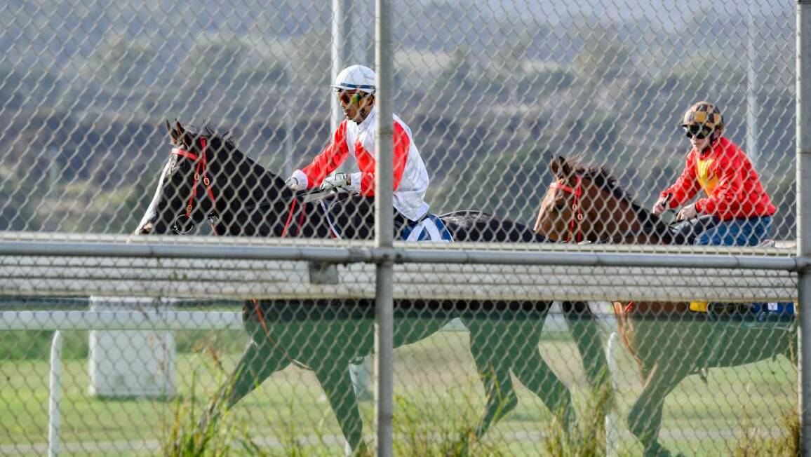BACK WITH A BANG: Tasmanian racing will resume this weekend. 