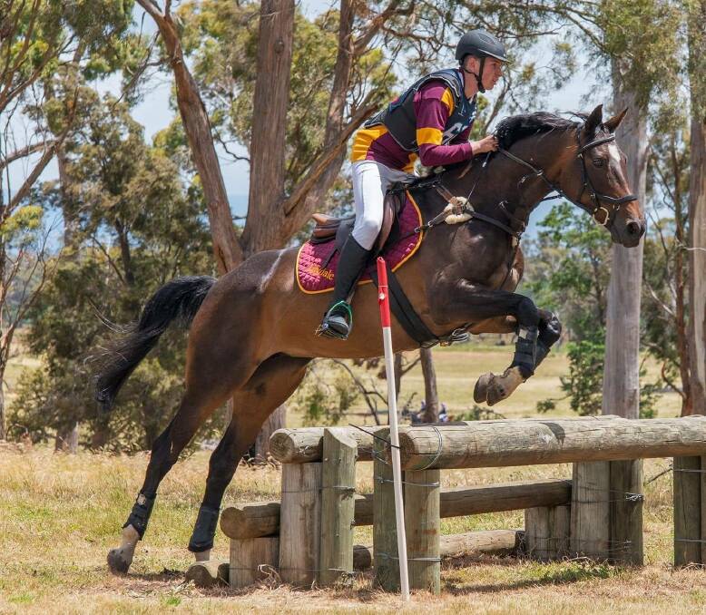 FLYING: Lilydale District Pony Club rider Will Andrews aboard Ballymount Bally. Picture: Supplied