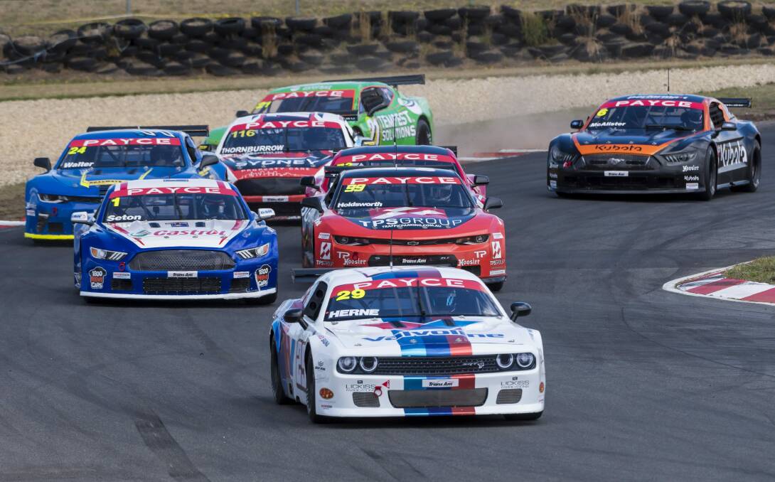 Nathan Herne's Dodge Challenger at the start of Trans Am's second race at Symmons Plains.