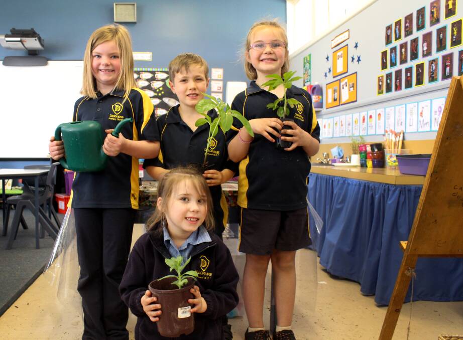 GROWING UP: Deloraine Primary School students Xanthe, Saskia (front), Jonah and Indianna will help out at the plant stall at next month's school fair. 