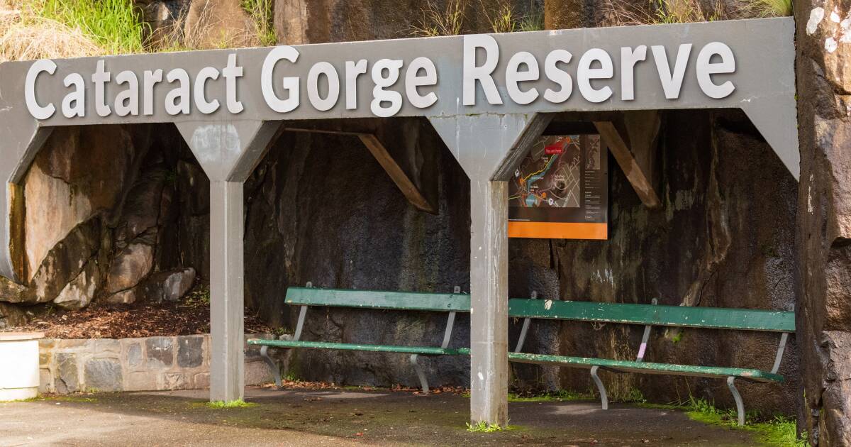 Man rescued from Cataract Gorge cliff face