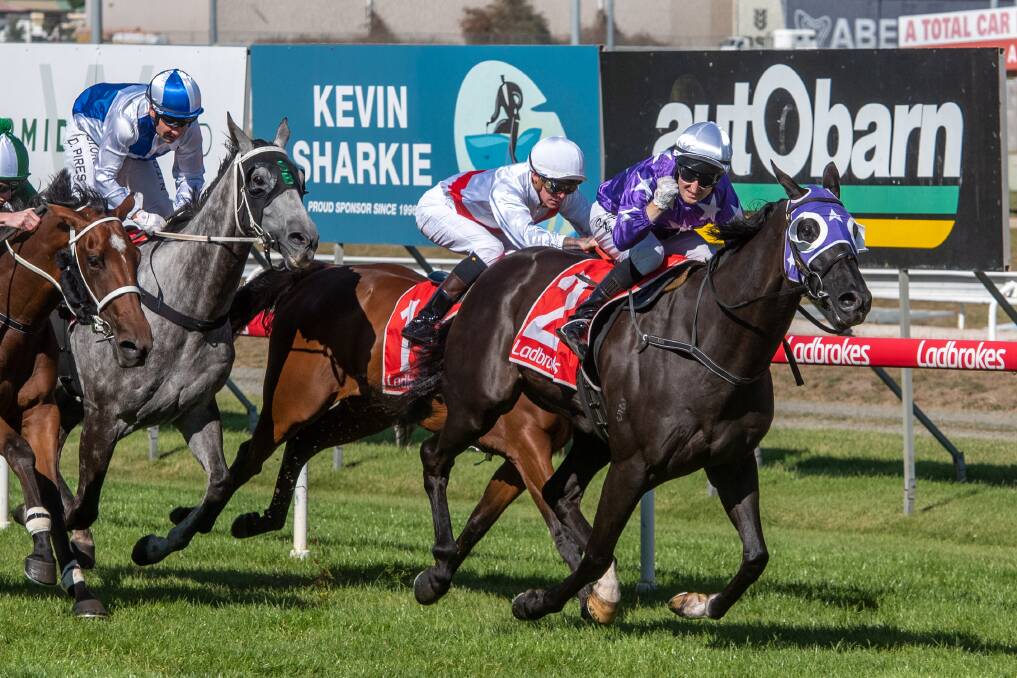 PURPLE REIGN: Newhart continued his brilliant start to 2021 with a win in the $100,000 Mowbray Stakes. Pictures: Paul Scambler