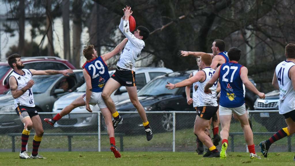 Lilydale reserves were pipped for third spot by Old Scotch after percentage adjustment. 